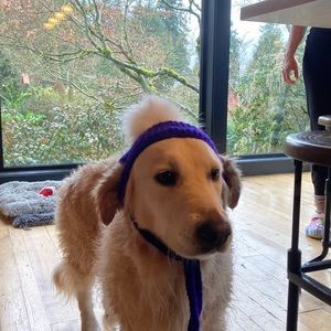 Meet your Posher, Aida